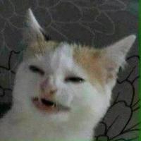 weird_boi32