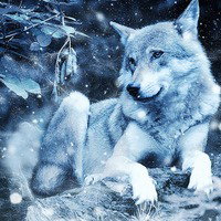 TheWolfQueenYT