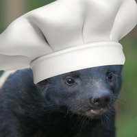 EthanTurnerTorontoVoice