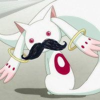 kyubec