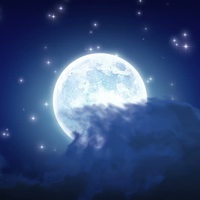 MoonLight9901