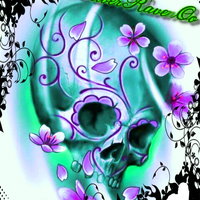 xOSilverRavenOx