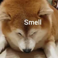 FutaFoxyFan ATW
