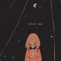 VIVI CO
