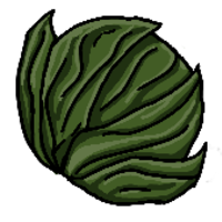 Tschonas