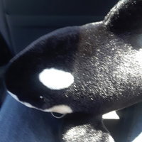 BigChungusVoice