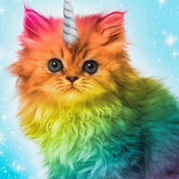 KrazyCat