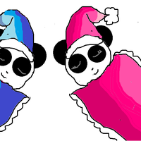 sea_shell_11