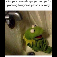 exottiiccflwr
