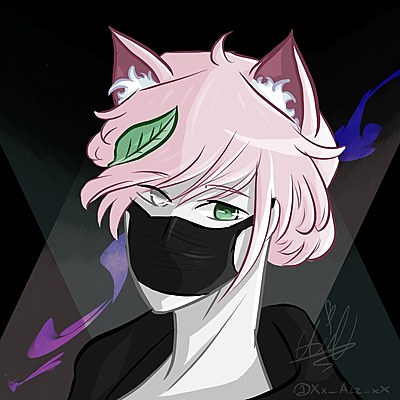 MinkVA