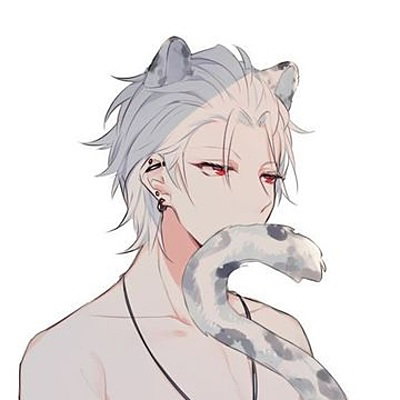 sn0w_Le0pard