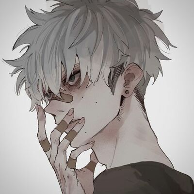 Stylo