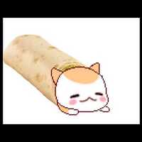 burritoqueen