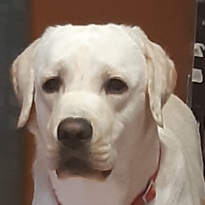 PeteeG