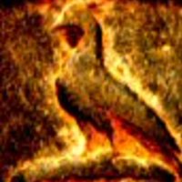 Phoenix_Emrys