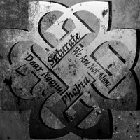 breakingtheshadow productions