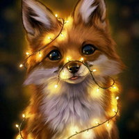 Fox gamer