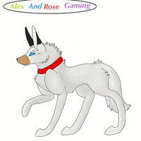 rosequeen13