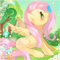 sleepless dawn