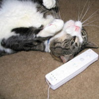 wiimote