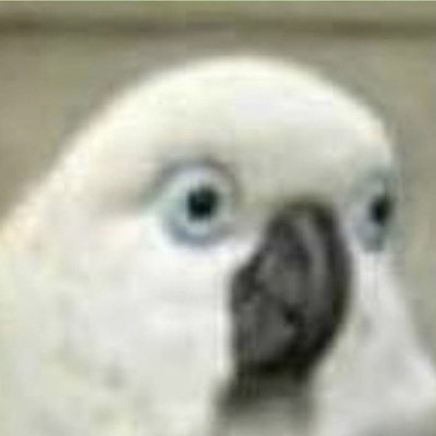 Tom