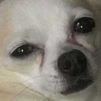 smileysticks