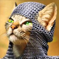 cougarknight18