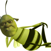pokexav