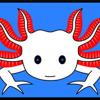 anonymousaxolotl