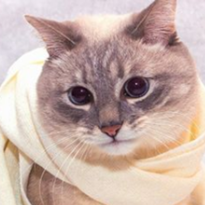koma-kun