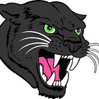 DinkPanther