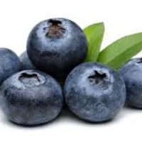 GBlueberries