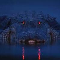 Buckythegator