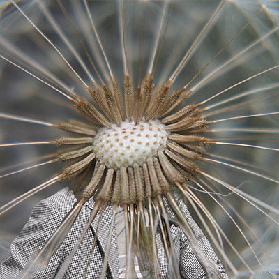 AlexWilliam