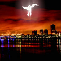 fallenphoenixseries
