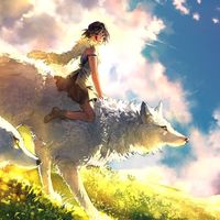 SkyHunt