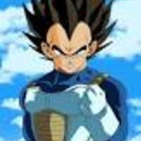 realprincevegeta