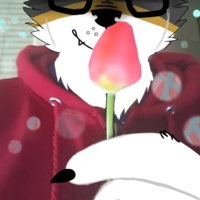 Alexwolfierubio