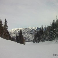 Jacenowlin20