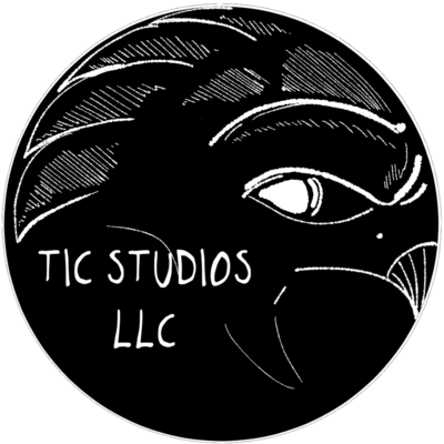 TIC STUDIOS LLC