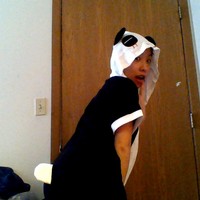 jojothepanda