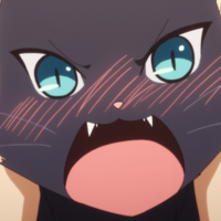 tsundere cat