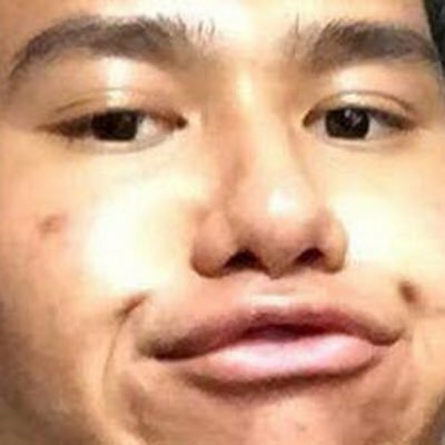imjustagrocerybag
