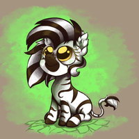funkyzebra