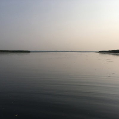 vyndican
