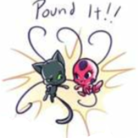 CatNoir1532