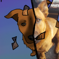 Ferret Phoenix