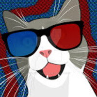 chaotickodykat