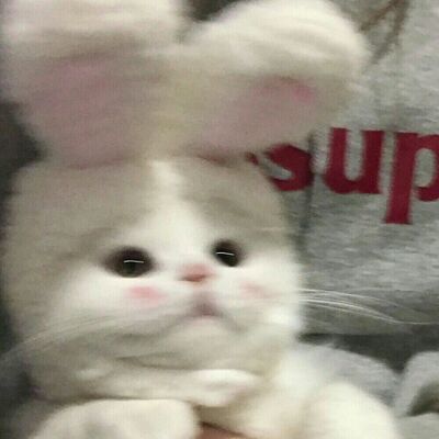 LiLSushi