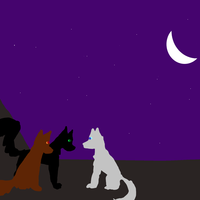 BraveMoonYT